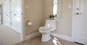 toilet