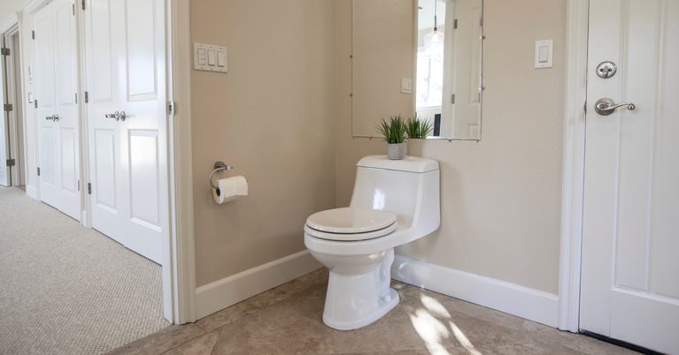 toilet