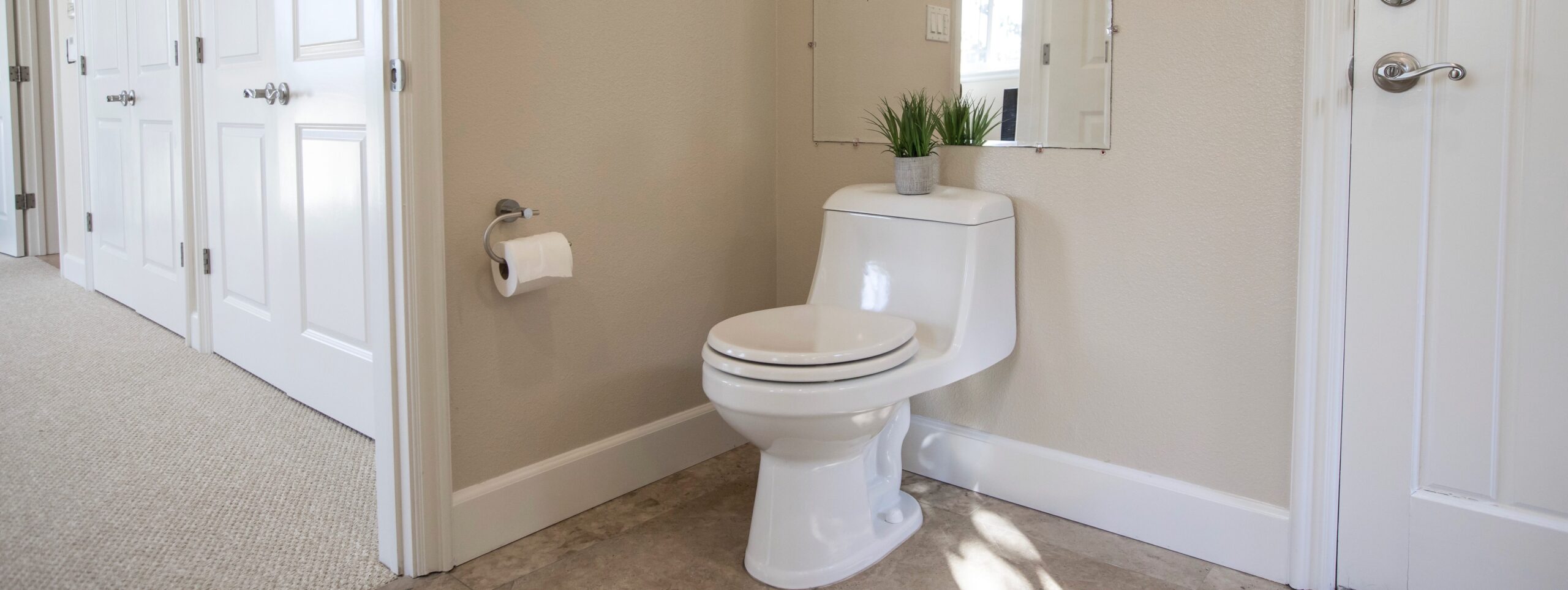 toilet